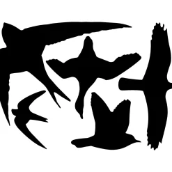 GARDEN LIFE FUGLE SILHUET