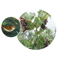 HOME>IT 6X6 M. FUGLENET