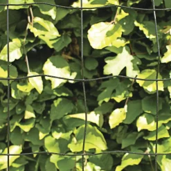 HORTUS PVC FRI TRÅDHEGN SORT PLASTBELAGT 0.60 X 20 M