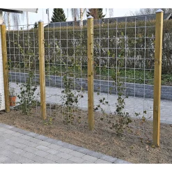 HORTUS RIONET ESPALIER METAL SØLV 90 X 180 CM