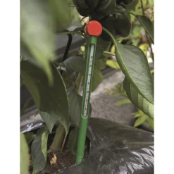 JULIANA JORDTERMOMETER