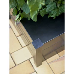 JULIANA KAPILÆRKASSESKJULER