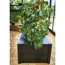 JULIANA KAPILÆRKASSESKJULER