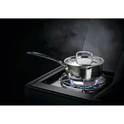 NAPOLEON ROGUE 425 PLUS GASGRILL SORT