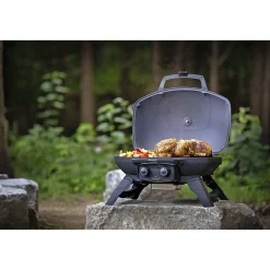 NAPOLEON TRAVELQ 285 GASGRILL SORT