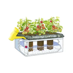 PINDSTRUP KAPILÆRKASSE HVID