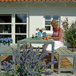 PLUS PLANKESÆT NATUR