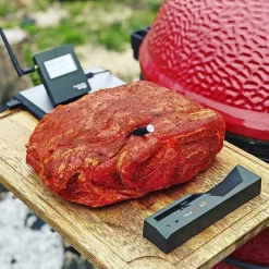 THE MEATSTICK 4 X STEGETERMOMETER