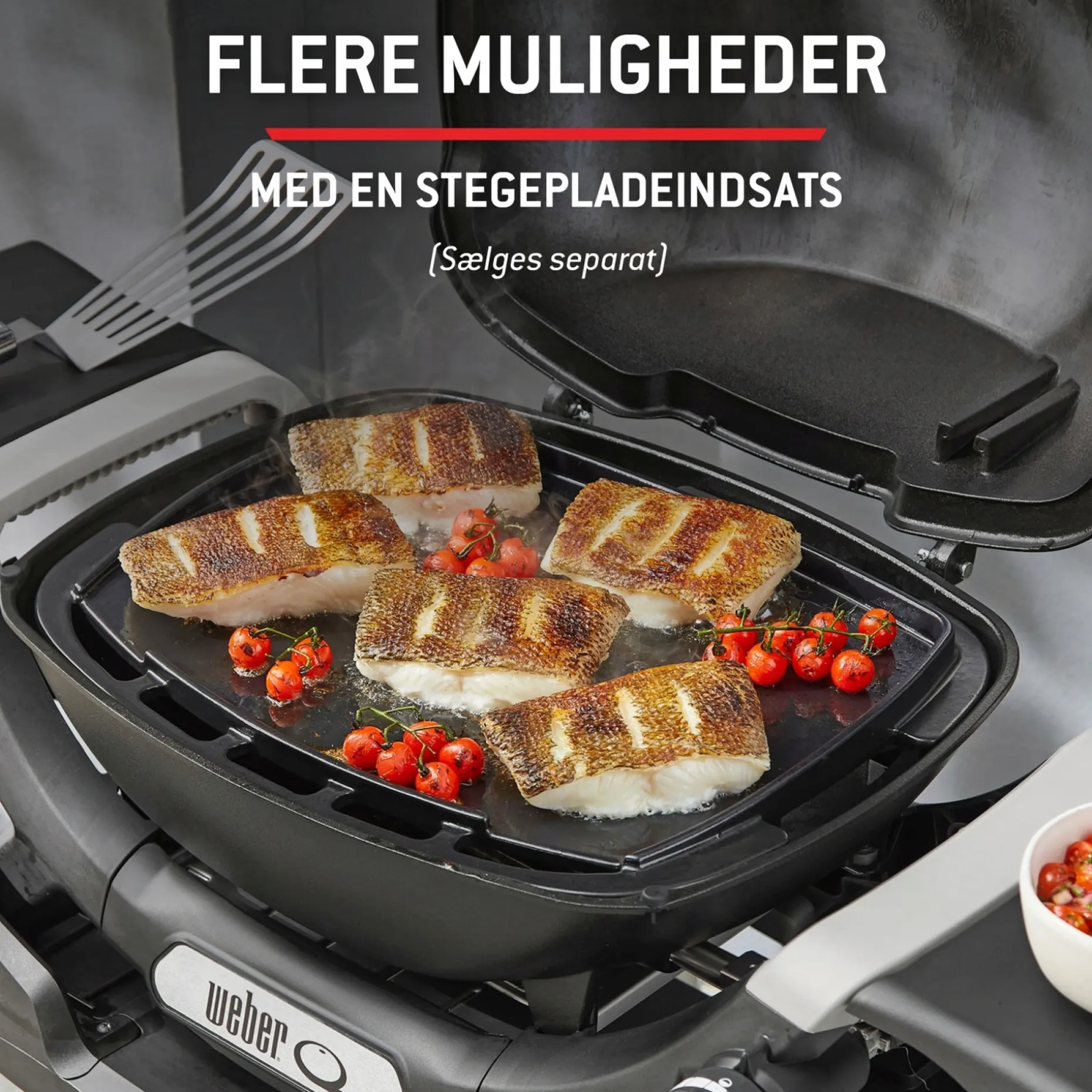 WEBER Q 1200N GASGRILL SORT