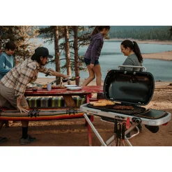 WEBER TRAVELER GASGRILL SORT