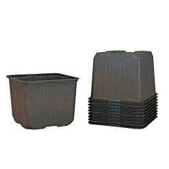 WEIBULLS UDPLANTNINGSPOTTE 11 CM